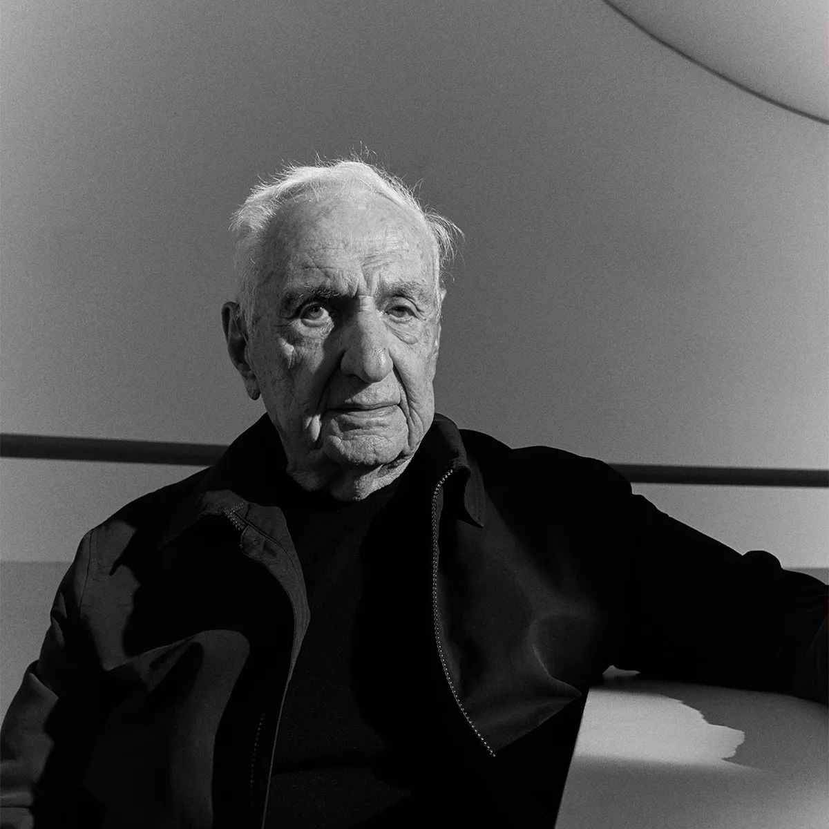 Frank Gehry